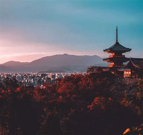 live365 japan.
